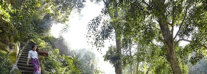 Hotel Tjampuhan Spa