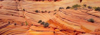Best Western View Of Lake Powell Hotel