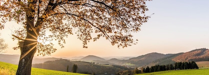 Sauerland Alpin Hotel