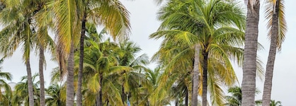 Lago Mar Resort & Club