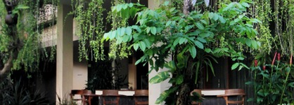 Parigata Resort & Spa