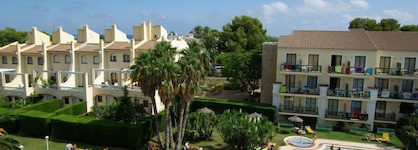 ALEGRIA Pino Alto
