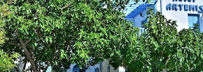 Artemis Santorini