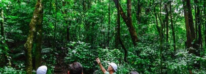 Cloud Forest Lodge