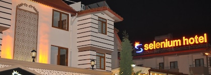 Selenium Hotel