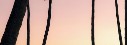 Sheraton Grand Mirage Resort, Gold Coast