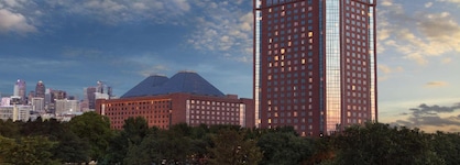 Hilton Anatole