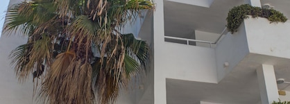 Camelina Suites