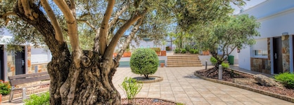 Apartamentos Piedramar