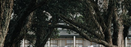 Auckland Rose Park Hotel