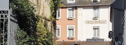 Le Lion D'or Hotel  -  Restaurant