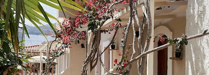 Mila Malia Studios Hotel