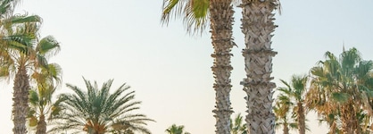 Ikaros Beach Luxury Resort & Spa