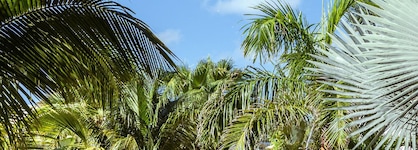 La Playa Orient Bay