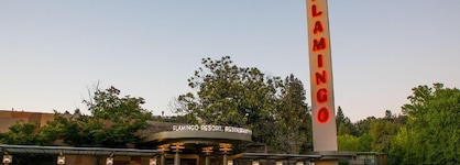 Flamingo Resort
