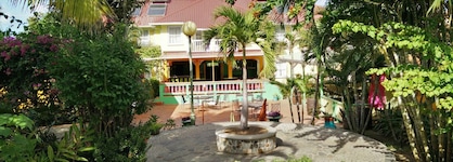 Coco Palm
