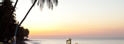 The Damai