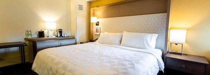 Holiday Inn Toronto Downtown Centre, An Ihg Hotel
