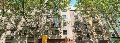 Acacia Suite