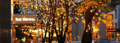 The Westin Seattle