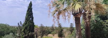 Son Julia Country House & Spa