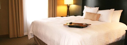 Hampton Inn Suites Barstow