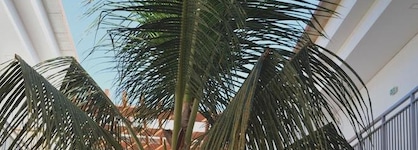 Hotel Da Luz
