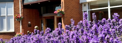 Orwell Hotel