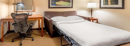 Hilton Garden Inn Houston The Woodlands