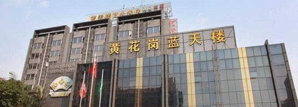 Bluesky Hotel