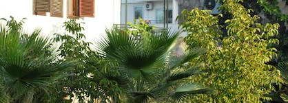 Belkon Hotel