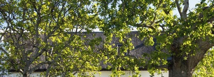 Steenberg Hotel & Spa