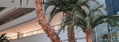 Saphir Resort & Spa