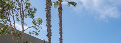 The Dana On Mission Bay Hotel