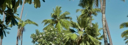 Sheraton Fiji Golf & Beach Resort