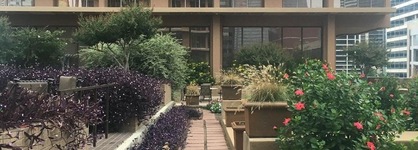 Fairmont Dallas