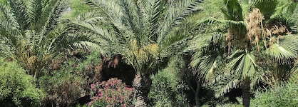 Kirbiyik Resort