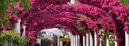 Kadikale Resort Spa