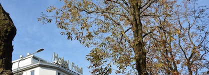 Hotel Friuli