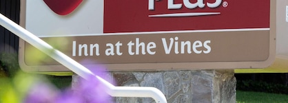 Best Western Plus Inn At The Vines