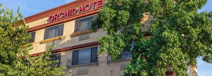 Best Western Plus Orchid Hotel & Suites