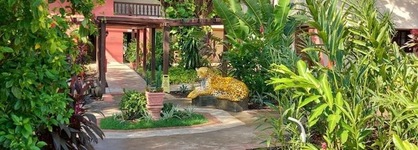 Fazenda Mato Grosso