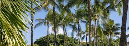 Luana Waikiki Hotel & Suites