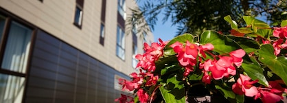 Hotel Desitges