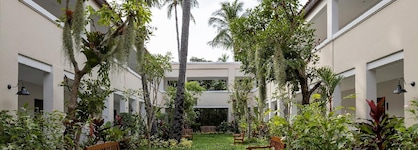 Samui Palm Beach Lead By Celes Samui