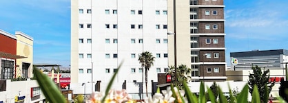 Ibis Chihuahua