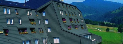Hotel Alpina