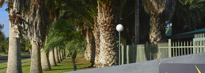 Desert Palms Alice Springs