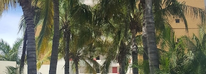 Suites Las Flores Beach Mazatlan