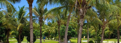Kuredu Island Resort
